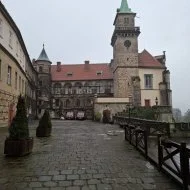 WhatsApp Image 2026-02-06 at 12.03.59 1